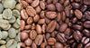 Does Coffee Taste the Same as It Did Five Years Ago?