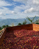  The Incredible Importance of International Coffee Day 