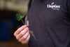  Get to know Utopian Coffee 